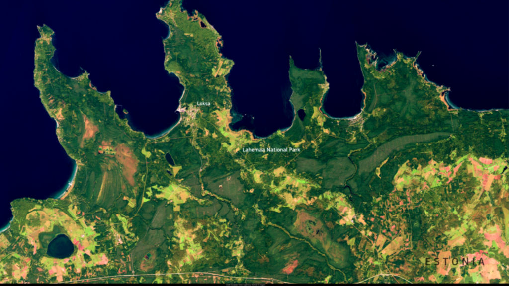 Satellite image of Lahemaa National Park in Northern Estonia.
