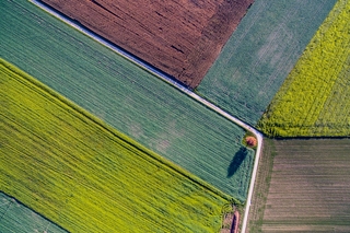 farm