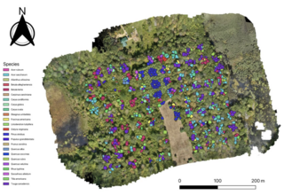 lidar