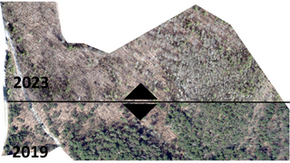LiDAR