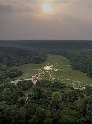 African Tropical Forest2