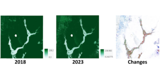 Figure 2. Carbon Storage – Spatial Distribution ((t C/ha).