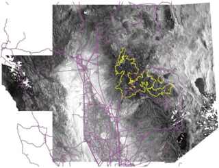 black and white topographical map of study area with purple lines illustrating the power lines