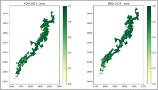 graph of NDVI june layer 