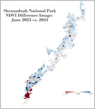 Red, white, and grey image of Shenandoah National Park NDVI difference images: June 2023 vs 2024