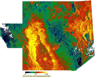 False Color LST Image