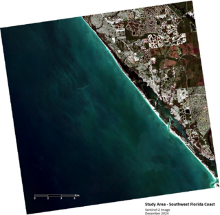 satellite image of study area - southwest florida coast