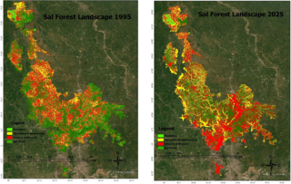 Side by side comparison of sal forest landscape 1995 on left and 2025 right, with an increase in Urban and agricultural settlements, especially in the southeastern section.